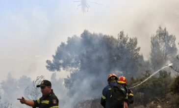 Φωτιά στη Ροδόπη: Ενισχύονται οι δυνάμες- Εντολή εκκένωσης του οικισμού