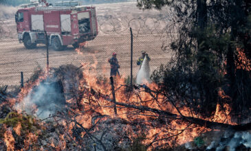 Μεγάλη φωτιά στις Κεχριές Κορίνθου: Ενισχύθηκαν οι πυροσβεστικές δυνάμεις – Τι συμβαίνει με τις κατοικίες