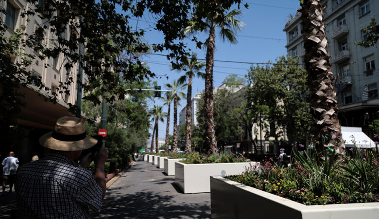 Ο Δήμος Αθηναίων απαντάει σε δημοσίευμα για τα 2.975 νέα δέντρα που θα φυτευτούν στην πρωτεύουσα