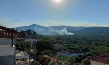Μεγάλη φωτιά στη Λέσβο: Συνεχείς αναζωπυρώσεις στην περιοχή – Αυξήθηκαν κι άλλο οι πυροσβεστικές δυνάμεις