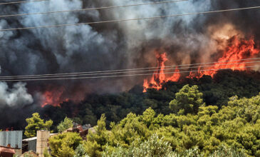 Μεγάλη φωτιά στην Αχαΐα – Ενισχύθηκαν οι πυροσβεστικές δυνάμεις