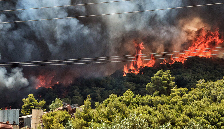 Σε εξέλιξη μεγάλη πυρκαγιά στη Μαγνησία