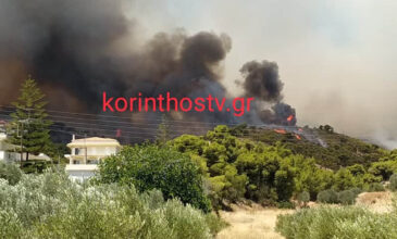 Ενισχύονται οι πυροσβεστικές δυνάμεις στις Κεχριές Κορινθίας – Στην περιοχή εκτάκτως ο Χαρδαλιάς