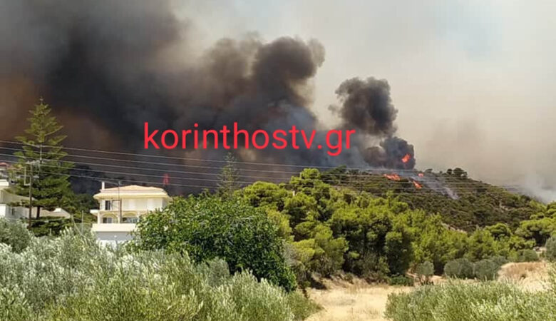 Ενισχύονται οι πυροσβεστικές δυνάμεις στις Κεχριές Κορινθίας – Στην περιοχή εκτάκτως ο Χαρδαλιάς