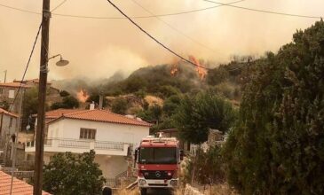 Πυρκαγιά στο Πεταλίδι Μεσσηνίας: Εντολή εκκένωσης οικισμού