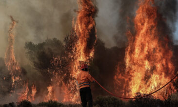 Πυρκαγιά στις Κεχριές Κορινθίας: Μαίνεται η μάχη με τις φλόγες – Πολλές διάσπαρτες εστίες με διαρκείς αναζωπυρώσεις