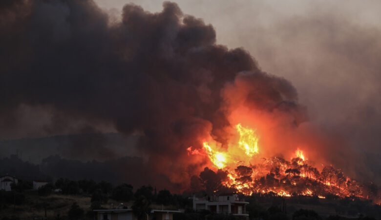 Πυρκαγιά σε δασική έκταση στο Μαρκόπουλο Ωρωπού