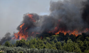 Πυρκαγιά στην Κόρινθο: Εκκενώνεται και το Σοφικό