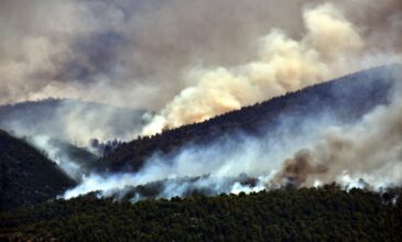 Σε ύφεση η πυρκαγιά στην Κορινθία: Ορατή από το Διάστημα η καμμένη έκταση- Δείτε τις φωτογραφίες