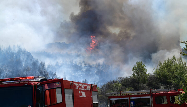 Πυρκαγιά στην Ηλεία: Εκκενώθηκε το χωριό Χελιδόνι