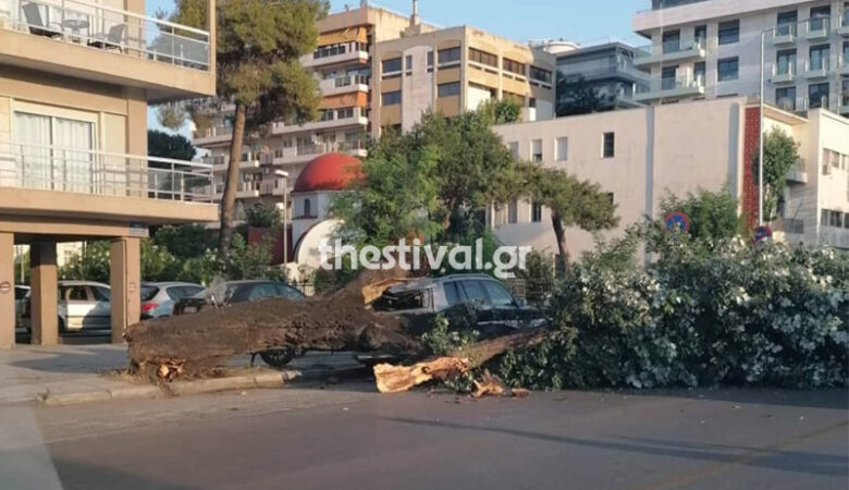 Δέντρο καταπλάκωσε αυτοκίνητο στην Θεσσαλονίκη