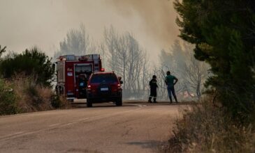 Μάχη με τις φλόγες σε Κορινθία και Ηλεία – 64 πυρκαγιές το τελευταίο 24ωρο