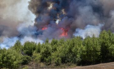 Πυρκαγιά σε αγροτοδασική έκταση στην Πύλο Μεσσηνίας