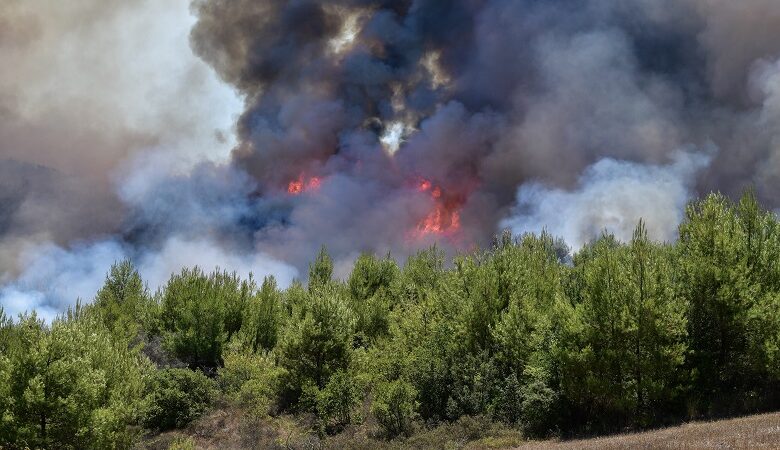 Πυρκαγιά σε δασική έκταση στην Αίγινα