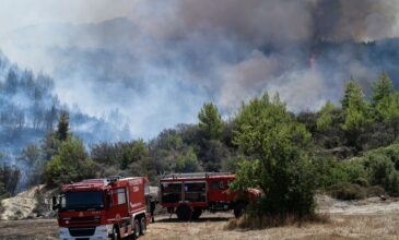 Η απάντηση της Πολιτικής Προστασίας στις κατηγορίες ΣΥΡΙΖΑ για τη φωτιά στις Κεχριές