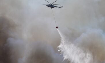 Πυρκαγιά σε δασική έκταση στο Πόρτο Γερμενό