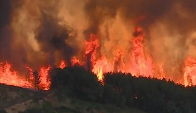 Πορτογαλία: Μάχη με τις φλόγες δίνουν εκατοντάδες πυροσβέστες στα κεντρικά της χώρας
