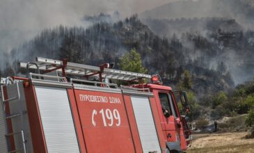 Σε επιφυλακή ο μηχανισμός πολιτικής προστασίας στην Ηλεία για τον κίνδυνο πυρκαγιών
