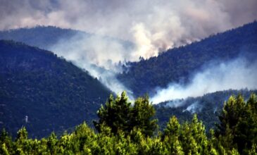 Σε επιφυλακή οι δυνάμεις στις Κεχριές- 51 πυρκαγιές μέσα σε 24 ώρες