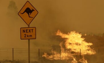Τρία δισεκατομμύρια ζώα κάηκαν ή εκτοπίστηκαν στην Αυστραλία