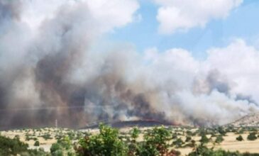 Μεγάλη πυρκαγιά στην Κύπρο – Εκκενώθηκε χωριό
