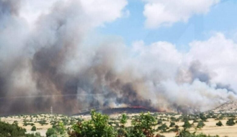 Νέα φωτιά στην Κύπρο – Εκκενώνονται κατοικίες στην κοινότητα Πάχνας
