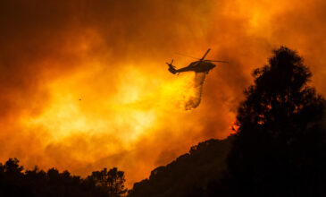 Γιγαντιαία φωτιά στην Καλιφόρνια -Έχουν κινητοποιηθεί πάνω από 300 πυροσβέστες