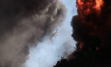 Μεγάλη φωτιά κοντά στο Ναρθάκι Φαρσάλων – Σε εξέλιξη επιχείρηση της Πυροσβεστικής