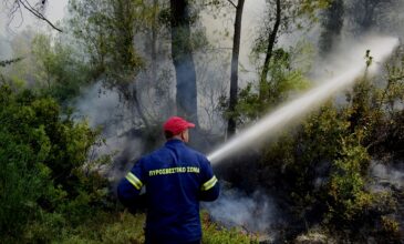 Φωτιά σε δασική έκταση στα Αθίκια Κορινθίας