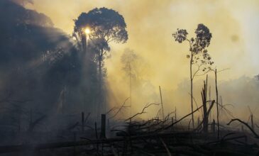 Πυρκαγιές στον Αμαζόνιο απειλούν σπίτια και καταστρέφουν καλλιεργήσιμες εκτάσεις