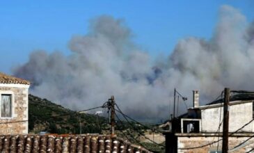 Ανατολική Μάνη: Όλονύχτια μάχη με τις φλόγες- Με πολλές μικρές εστίες το πύρινο μέτωπο