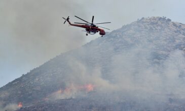 Στο «κόκκινο» Αττική και Εύβοια για τον κίνδυνο πυρκαγιάς