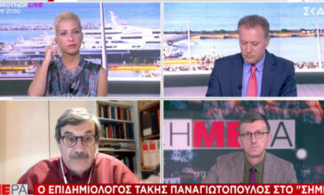 Παναγιωτόπουλος: Δεν ξέρουμε πως θα συμπεριφερθούν οι ιοί όταν συναντηθούν μεταξύ