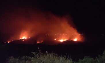 Πυρκαγιά στην Κεφαλονιά: Δύσκολη νύχτα στο νησί – Εκκενώθηκε χωριό