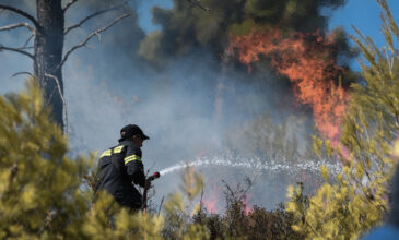 Σε εξέλιξη πυρκαγιά σε δασική έκταση στο Αμόνι Κορινθίας