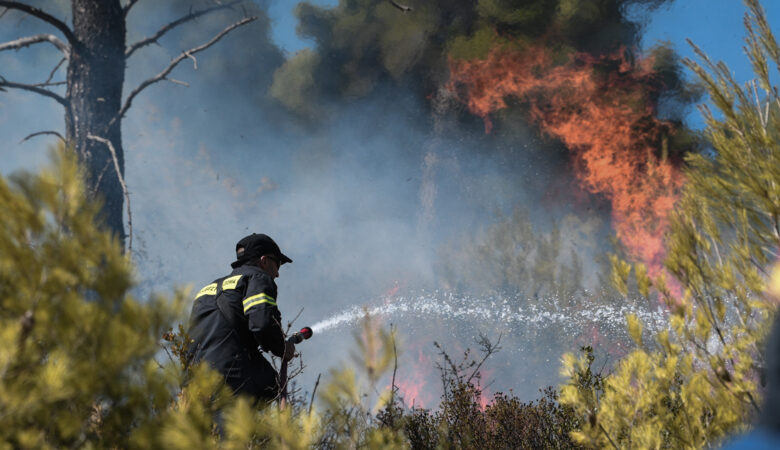 Πυρκαγιά σε έκταση με ξερά χόρτα στα Άνω Λιόσια