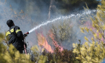 Πυρκαγιά σε δασική έκταση στις Αχαρνές Αττικής