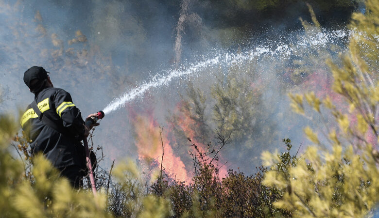 Μεγάλη πυρκαγιά σε εξέλιξη στο Μελιδόνι Ρεθύμνου