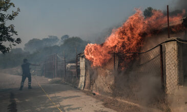 Πυρκαγιά σε Ανάβυσσο-Καλύβια: Ειδική μέριμνα για όσους εγκατέλειψαν τα σπίτια τους