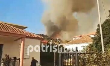 Μαίνεται η πυρκαγιά στην Ηλεία – Ζητήθηκε η εκκένωση κατοικιών στη Δάφνη
