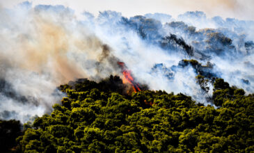 Πολύ υψηλός κίνδυνος πυρκαγιάς και αύριο Τετάρτη – Ποιες περιοχές βρίσκονται στην κατηγορία 4