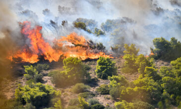 Συγκλονίζει η τραγωδία στην Κύπρο: Πώς εγκλωβίστηκαν και κάηκαν ζωντανοί οι τέσσερις νεαροί
