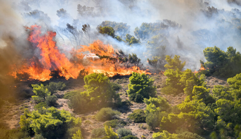 Μεγάλη φωτιά στην Φθιώτιδα: Καίει στην κορυφογραμμή του όρους Όρθυς –  Φόβοι για το χωριό Λογγίτσι