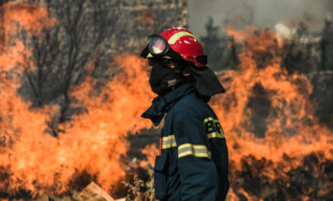 Φωτιά στην Ανάβυσσο: Η πυροσβέστρια που έδωσε μάχη με τις φλόγες και έγινε viral