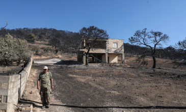 Οι Δήμοι Σαρωνικού και Λαυρεωτικής καλούν τους πληγέντες της πυρκαγιάς να αιτηθούν αποζημιώσεις