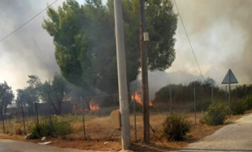 Εικόνες από τη φωτιά στην Αρτέμιδα – Απομακρύνθηκαν κάτοικοι από την περιοχή