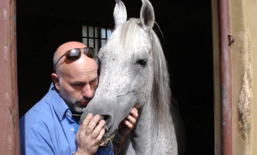 Ο Έλληνας κτηνίατρος που φροντίζει τα άλογα του Σουλτάνου του Ομάν