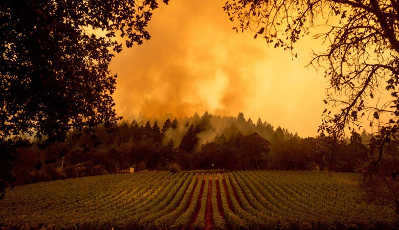 Φονική πυρκαγιά στην Καλιφόρνια: Τουλάχιστον 4 οι νεκροί