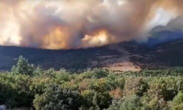 Μεγάλη φωτιά στους Ασίτες Ηρακλείου – Επιχειρούν 100 πυροσβέστες
