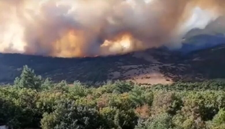 Υπό μερικό έλεγχο η φωτιά στη Χίο
